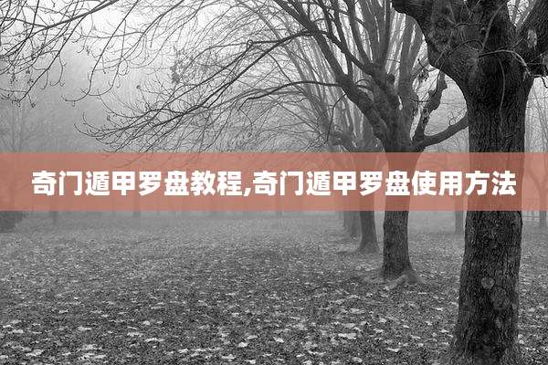 奇门遁甲罗盘教程,奇门遁甲罗盘使用方法