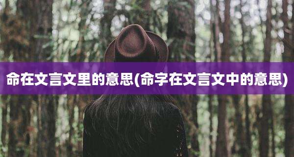 命在文言文里的意思(命字在文言文中的意思)