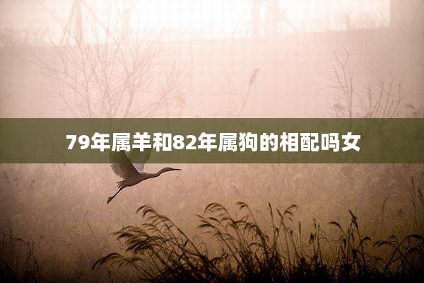 79年属羊和82年属狗的相配吗女