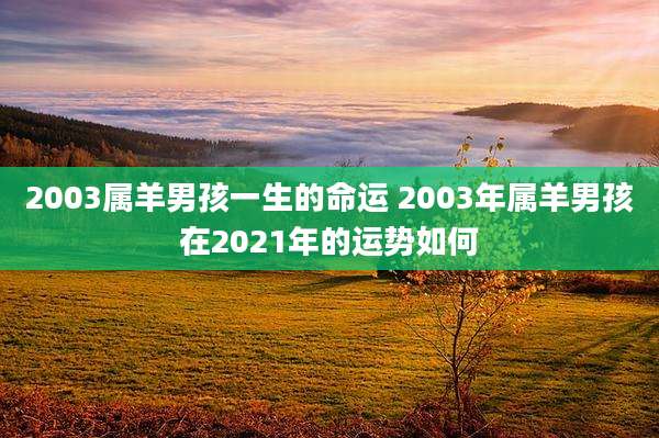 2003属羊男孩一生的命运 2003年属羊男孩在2021年的运势如何