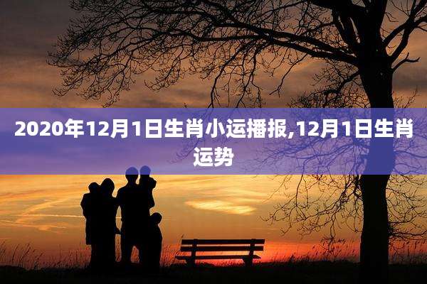 2020年12月1日生肖小运播报,12月1日生肖运势