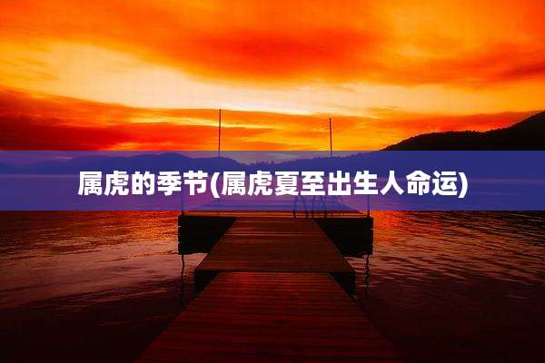 属虎的季节(属虎夏至出生人命运)