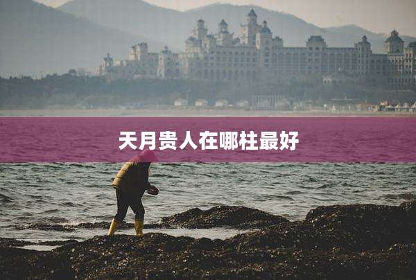 天月贵人在哪柱最好