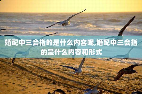 婚配中三会指的是什么内容呢,婚配中三会指的是什么内容和形式