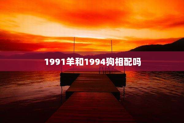 1991羊和1994狗相配吗