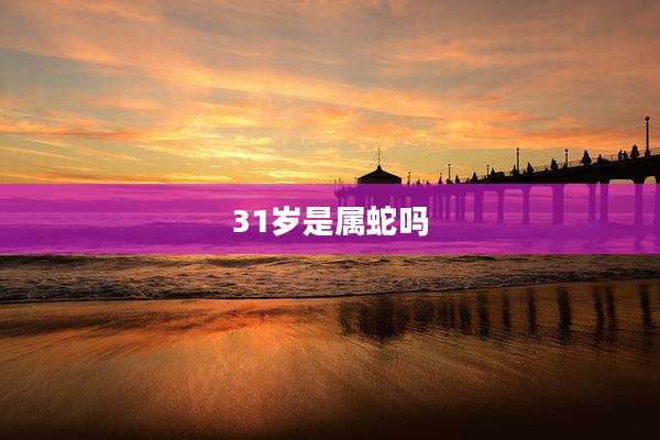 31岁是属蛇吗