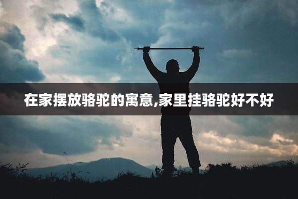 在家摆放骆驼的寓意,家里挂骆驼好不好