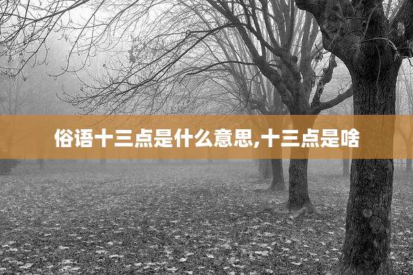 俗语十三点是什么意思,十三点是啥