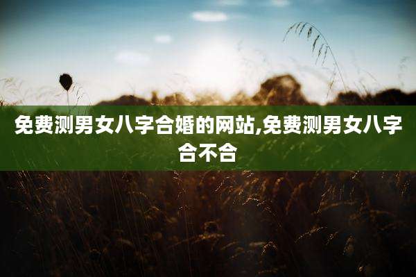 免费测男女八字合婚的网站,免费测男女八字合不合