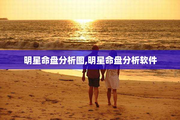 明星命盘分析图,明星命盘分析软件
