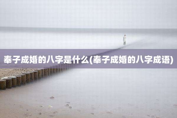 奉子成婚的八字是什么(奉子成婚的八字成语)