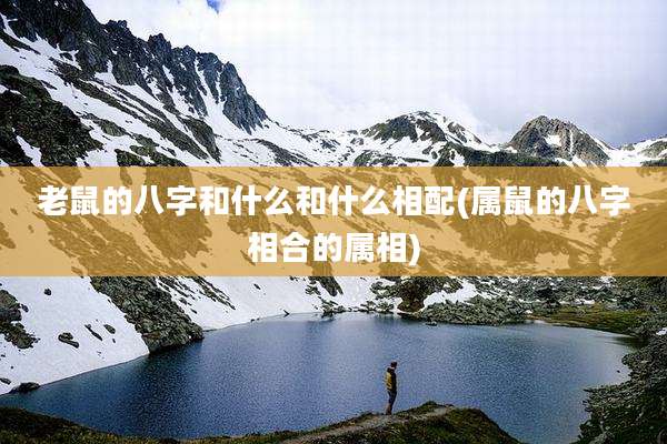 老鼠的八字和什么和什么相配(属鼠的八字相合的属相)