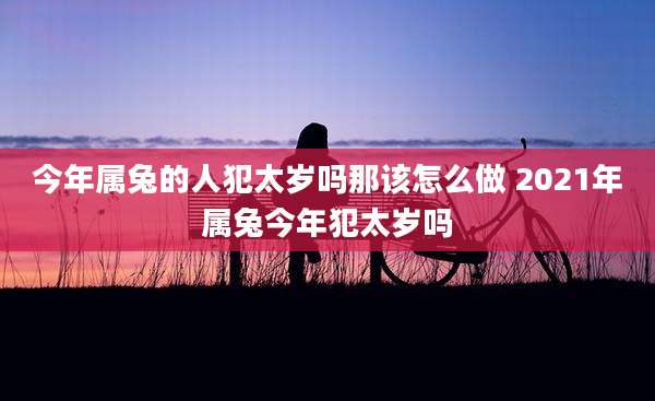 今年属兔的人犯太岁吗那该怎么做 2021年属兔今年犯太岁吗