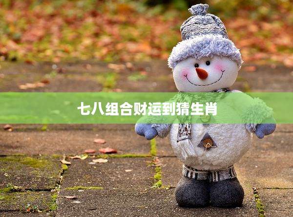 七八组合财运到猜生肖