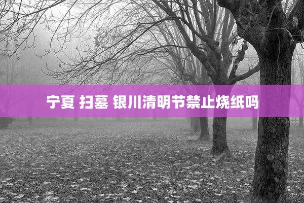 宁夏 扫墓 银川清明节禁止烧纸吗