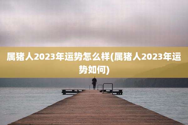 属猪人2023年运势怎么样(属猪人2023年运势如何)