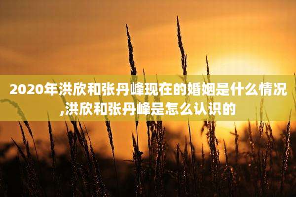 2020年洪欣和张丹峰现在的婚姻是什么情况,洪欣和张丹峰是怎么认识的