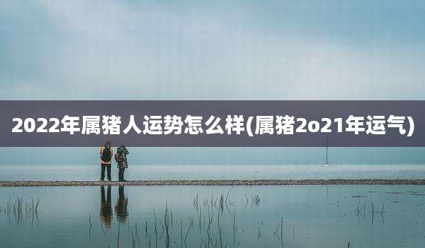 2022年属猪人运势怎么样(属猪2o21年运气)