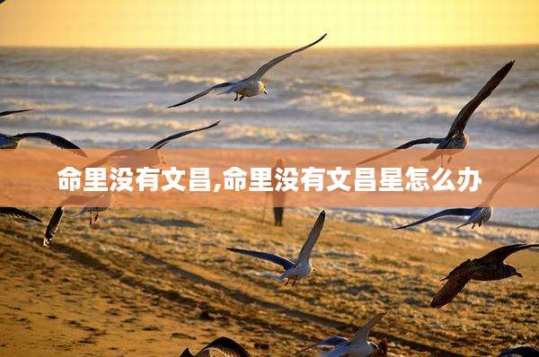 命里没有文昌,命里没有文昌星怎么办