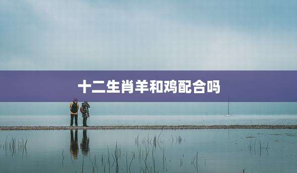 十二生肖羊和鸡配合吗