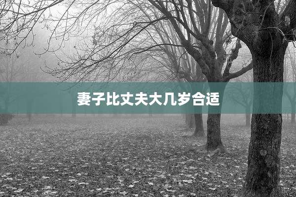 妻子比丈夫大几岁合适
