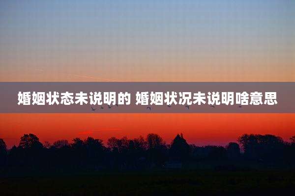 婚姻状态未说明的 婚姻状况未说明啥意思
