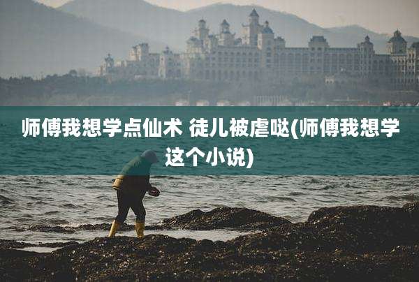 师傅我想学点仙术 徒儿被虐哒(师傅我想学这个小说)