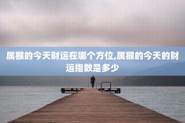 属猴的今天财运在哪个方位,属猴的今天的财运指数是多少