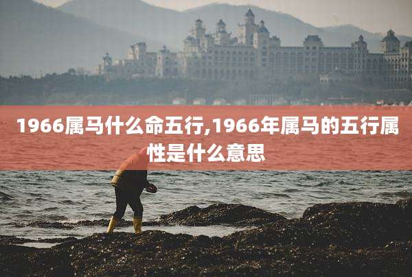 1966属马什么命五行,1966年属马的五行属性是什么意思