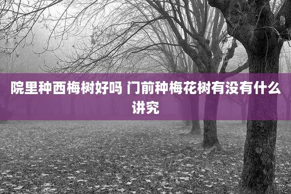 院里种西梅树好吗 门前种梅花树有没有什么讲究