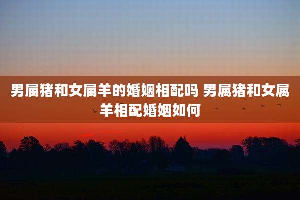男属猪和女属羊的婚姻相配吗 男属猪和女属羊相配婚姻如何