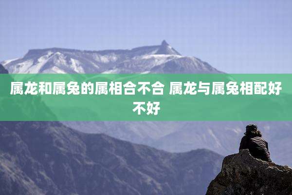 属龙和属兔的属相合不合 属龙与属兔相配好不好