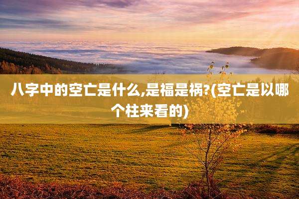 八字中的空亡是什么,是福是祸?(空亡是以哪个柱来看的)
