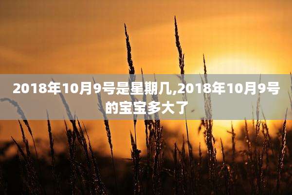 2018年10月9号是星期几,2018年10月9号的宝宝多大了