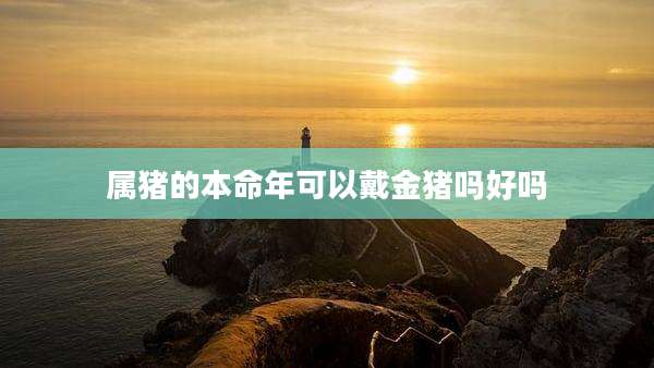 属猪的本命年可以戴金猪吗好吗