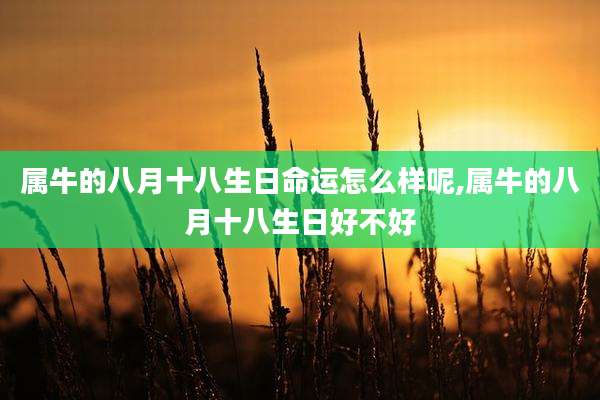 属牛的八月十八生日命运怎么样呢,属牛的八月十八生日好不好