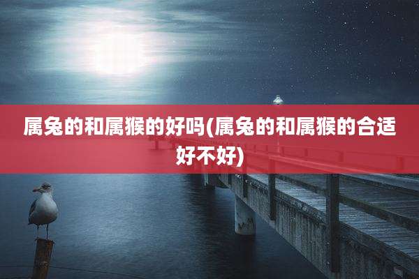 属兔的和属猴的好吗(属兔的和属猴的合适好不好)