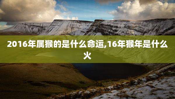 2016年属猴的是什么命运,16年猴年是什么火