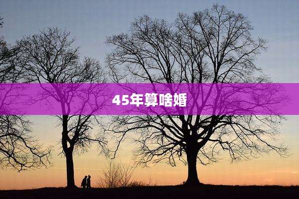 45年算啥婚