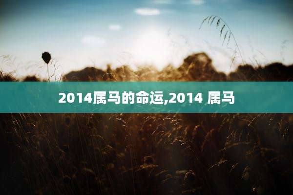 2014属马的命运,2014 属马