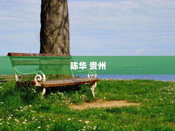 陈华 贵州