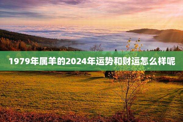 1979年属羊的2024年运势和财运怎么样呢