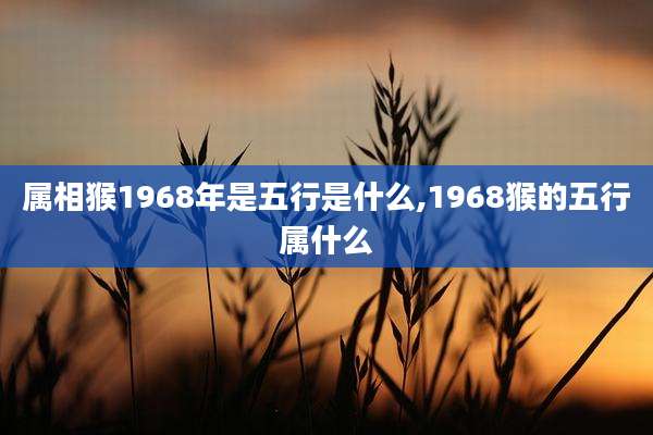 属相猴1968年是五行是什么,1968猴的五行属什么