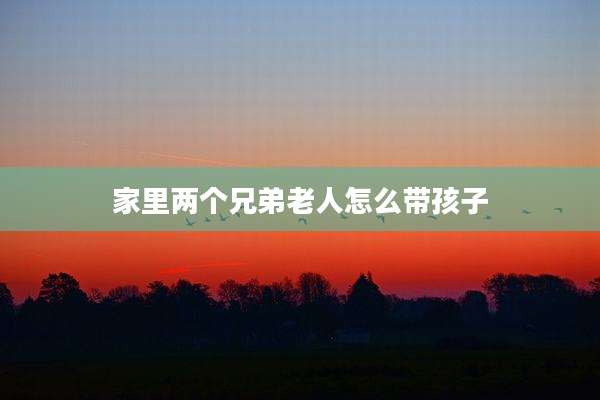 家里两个兄弟老人怎么带孩子