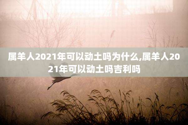 属羊人2021年可以动土吗为什么,属羊人2021年可以动土吗吉利吗