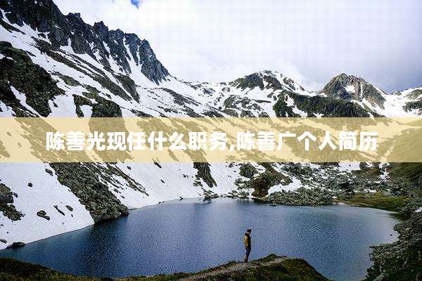陈善光现任什么职务,陈善广个人简历