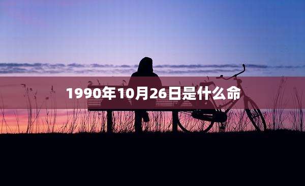 1990年10月26日是什么命