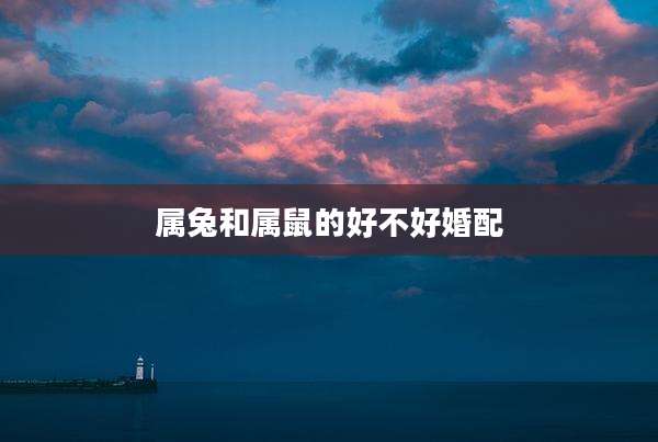 属兔和属鼠的好不好婚配