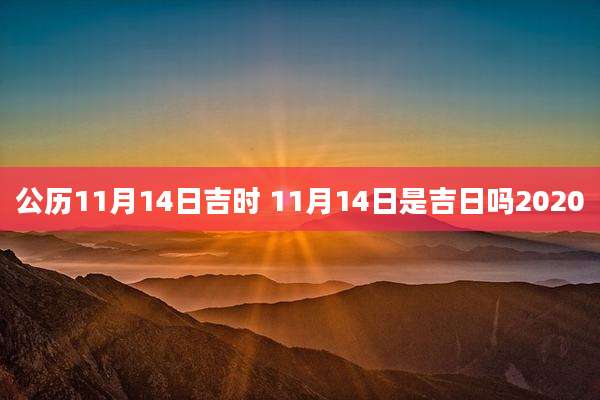 公历11月14日吉时 11月14日是吉日吗2020