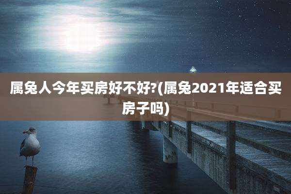 属兔人今年买房好不好?(属兔2021年适合买房子吗)